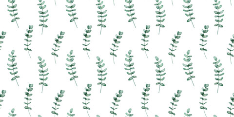 Fototapeta premium Seamless floral pattern with hand drawn watercolor eucalyptus branch plant isolated on white. Repeat botanical background with green leaves.
