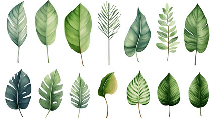  tropical leaves in shades of green with a watercolor effect on a white background. - obrazy, fototapety, plakaty