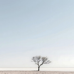 A minimalist photograph of a solitary tree standing against a vast expanse of desert, symbolizing resilience and strength in the face of adversity.