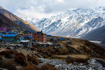 Mountain Hamlet Charm: Kyanjin Gompa Against the Langtang Himalayan Backdrop, Nepal
