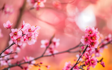 Fototapeta premium Sakura tree in the sun,created with Generative AI tecnology.