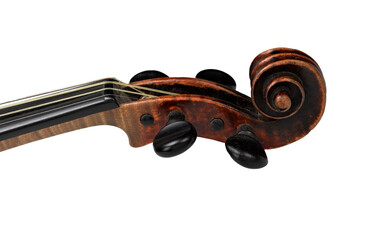 Head of classical violin on white background