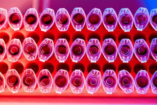 Rows of vividly colored test tubes in a lab