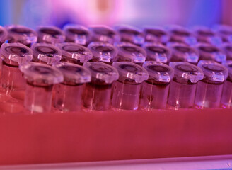 Rows of scientific vials in a laboratory setting