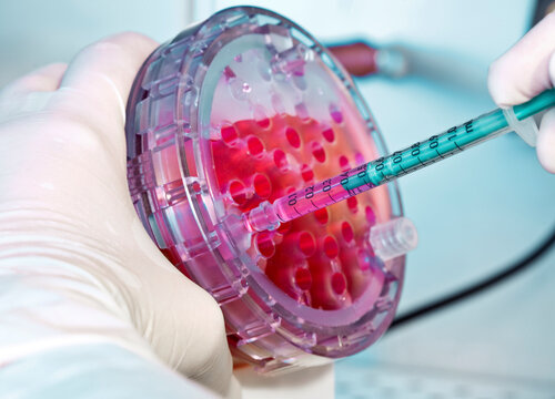 Scientist pipetting a pink solution into a multi-well plate in a laboratory setting