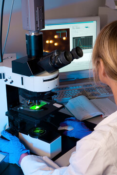 Scientist examining samples under a microscope in a laboratory