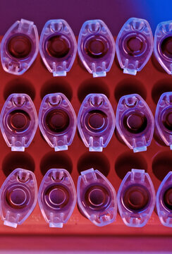 A palette of vibrant purple and deep red hues dominate this close-up of laboratory well plates.