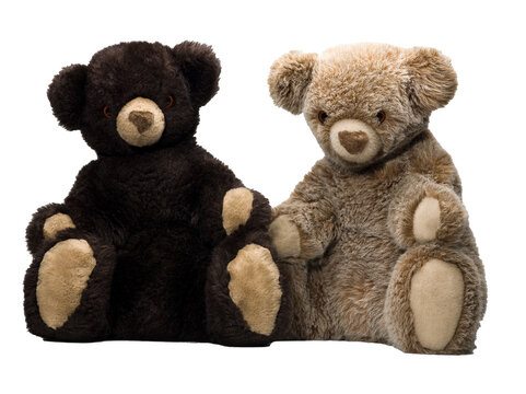 teddy bear
