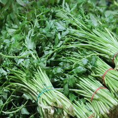 Fresh tied green herbs street food in Asia at the local market