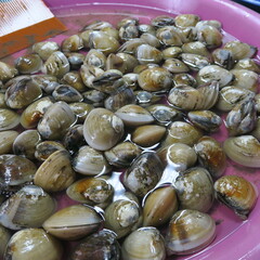 Fresh mussels in water at a street stall in Asia