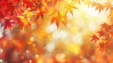 The Warmth of Red and Yellow Maple Leaves Enhanced by a Serene Bokeh and Soft Light Background