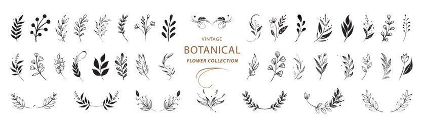 Vector floral illustration with branches, berries and leaves. Hand drawn sketch branches isolated on white background. 