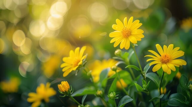 Vibrant yellow wildflowers emerge amidst a bokeh of verdant hues
