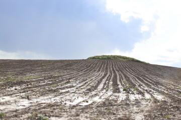 a plowed field after rain
