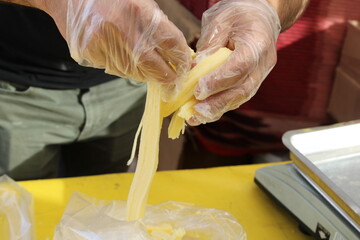 Obraz premium Cheddar cheese in the cook's hand 