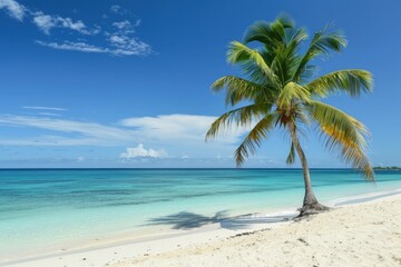Fototapeta premium White sand beach and crystal clear water with coconut tree, tropical paradise, summer.