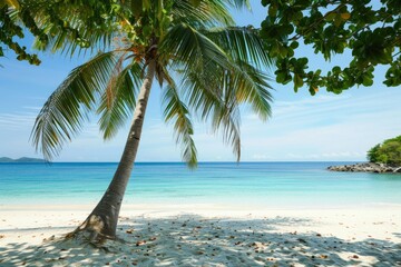 White sand beach and crystal clear water with coconut tree, tropical paradise, summer.