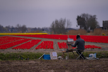 Male artist, drawing on canvas on sketchbook easel on tulip field. Painting workshop in rural...