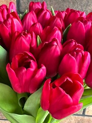 Obraz premium Bouquet of white red tulips in a vase. Beautiful delicate flowers as a gift to a loved one. Spring flowers tulips in a decorative jug.