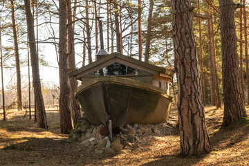 Abandoned Boat Amidst the Whispering Forest Trees