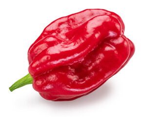 Red habanero pepper on white background. File contains clipping path. - 757257754
