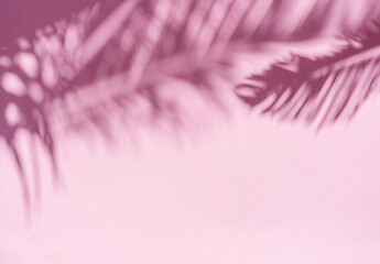 Blurred shadow of tropical palm leaves on pink wall background. Summer concept. - 757258330