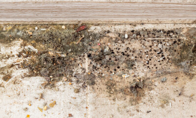 Dirt and mould on the floor, very dirty tiles, the concept of cleaning in the house.