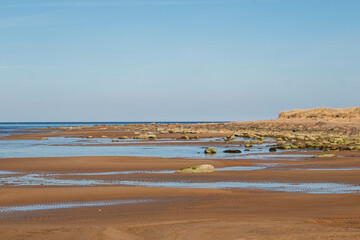 Serene Beachscape with Tidal Pools Under Clear Sky.