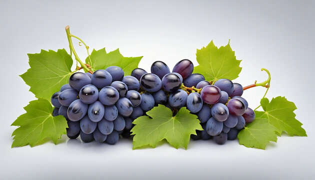 Set black grape dark blue grape isolated on white background