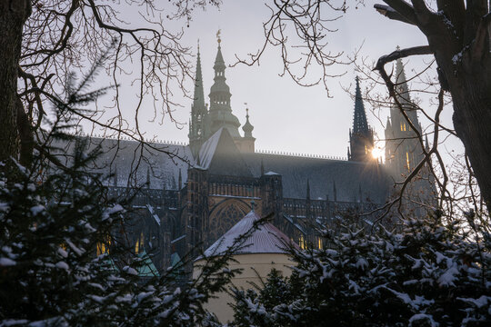 View of Prague Castle through the snowy trees