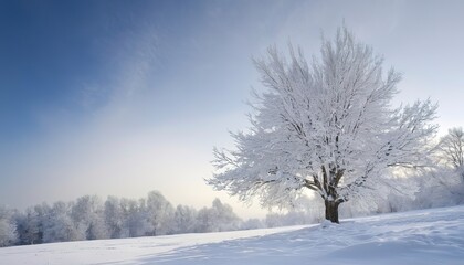 Fototapeta na wymiar Tree under the snow. Winter tree. Snowy landscape