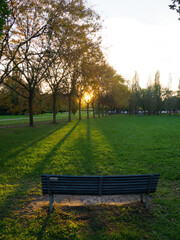 Sunset at Parco Nord, Milan, Italy