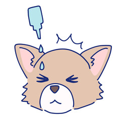 目薬を差す小型犬