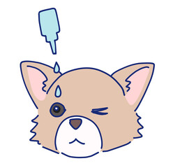 目薬を差す小型犬