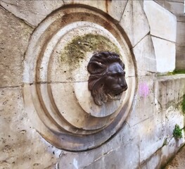 Old historic fountain detail. Metal bas-relief of a lion head.