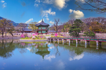 Naklejka premium Gyeongbokgung palace in spring time in seoul city of korea, south korea.