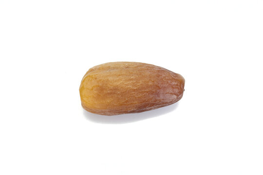 Date Palm