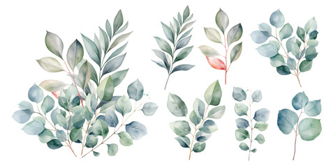 Watercolor greenery branch leaves twigs floral plant bouquet isolated white background. Botanical leaf illustration