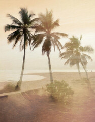 Experimental abstract double exposure photography of palm trees on a beach in golden hour - 757296725
