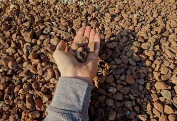 man holds in his hand a sample of stone gravel or pebbles of one size. Marble white gravel and gray...