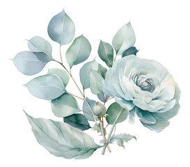 Set watercolor blue ranunculus flowers floral bouquet. Wedding concept a white background - 757299927