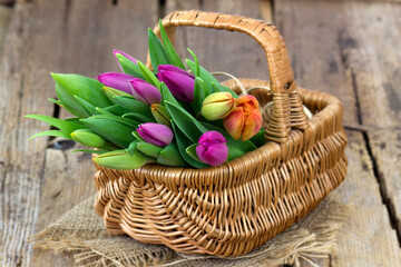 Colorful fresh tulips in wicker basket - 757300377