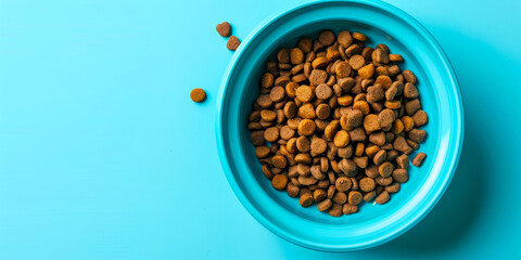 Top View of Dog Food in Blue Bowl