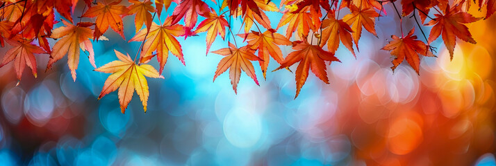 A radiant display of maple leaves in autumn hues, with a warm, g