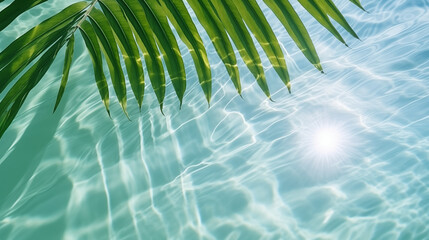 Top view of tropical palm leaf shadows water surface, holiday concept