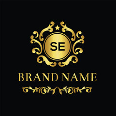 Fototapeta na wymiar SE creative logo design for company branding