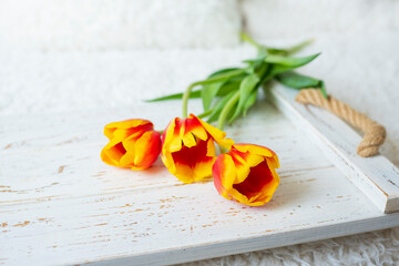 yellow-red variegated tulips on a light background in a bright bedroom interior.

