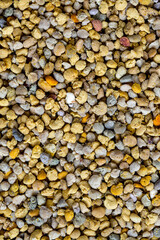 Bee pollen or perga textured background . Raw brown, yellow, orange and blue flower pollen grains or bee bread texture pattern. Healthy food supplement
