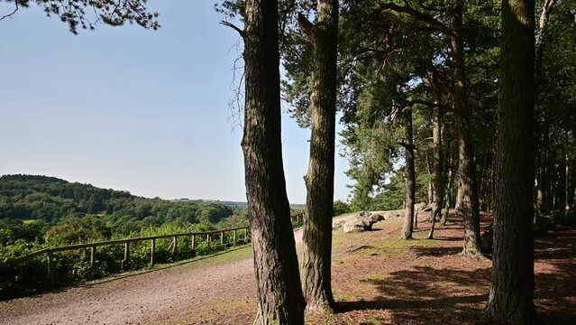 Lickey hills country park west midlands england uk
