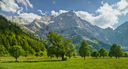 Großer Ahornboden, Karwendelkette,  Tirol, Österreich